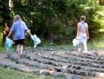 silent-day-labyrinth-29